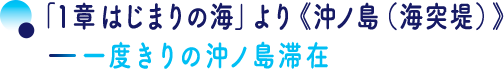 「１章 はじまりの海」より《沖ノ島（海突堤）》―一度きりの沖ノ島滞在