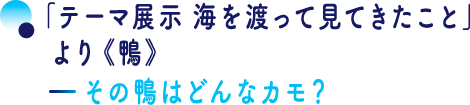 「テーマ展示 海を渡って見てきたこと」より《鴨》—その鴨はどんなカモ？